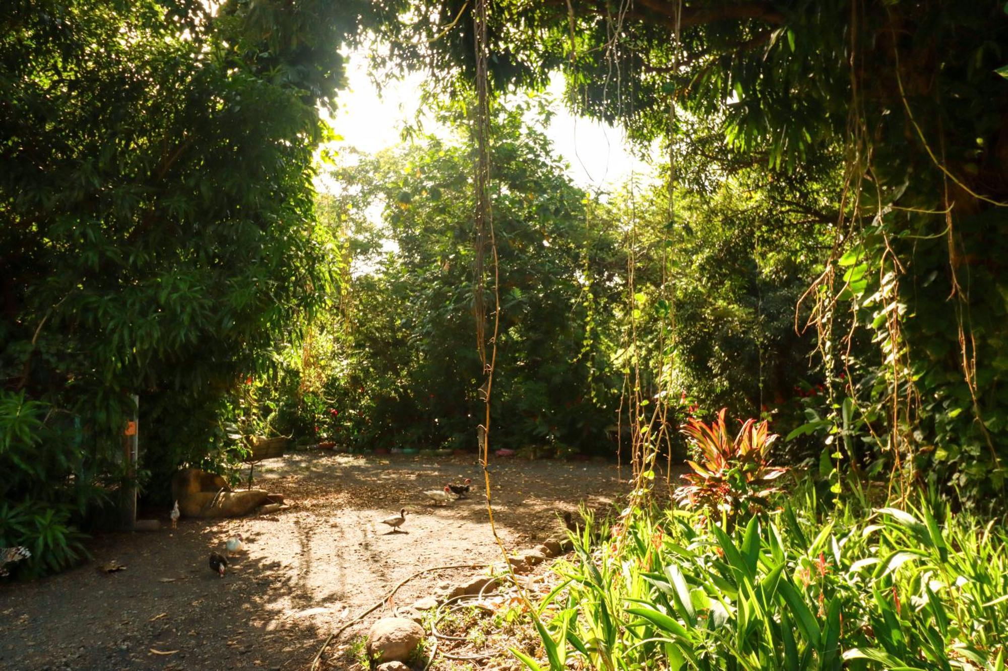La Casa De Vida Natural Rio Grande Zewnętrze zdjęcie